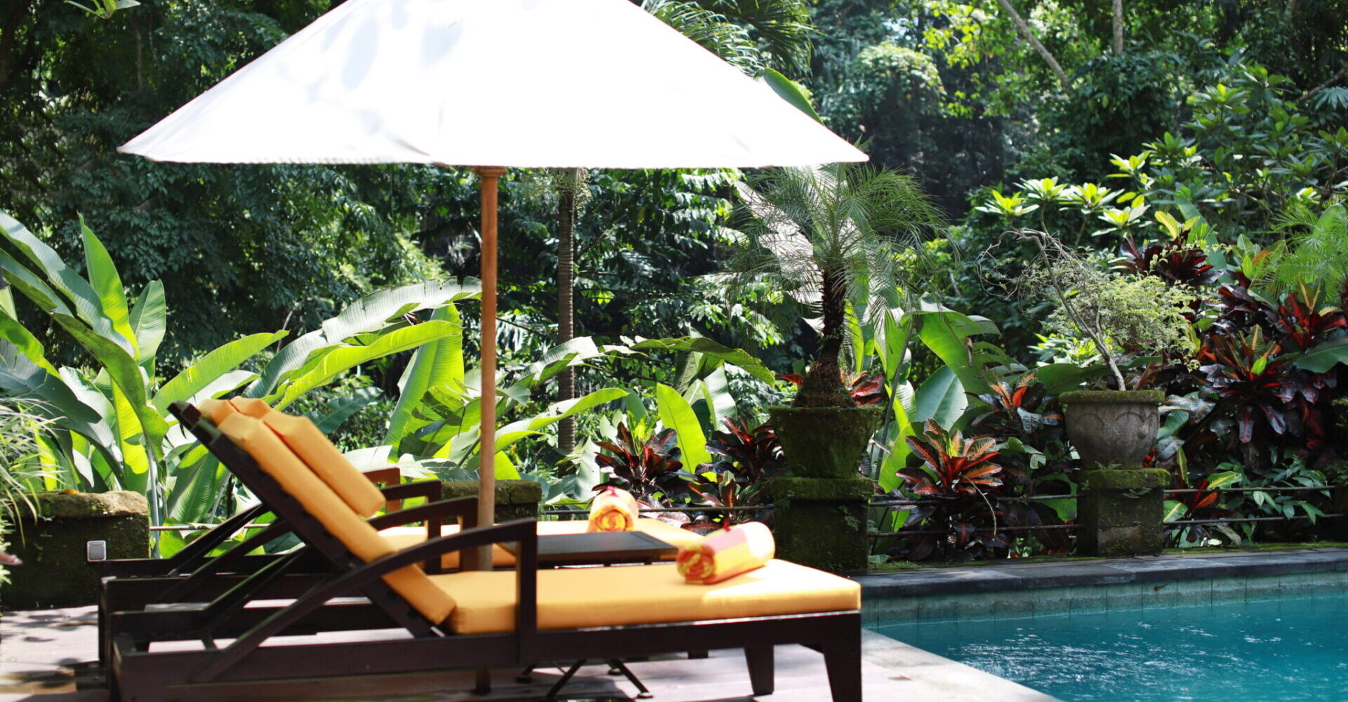 Two poolside deck chairs under an umbrella next to a private pool and overlooking the rainforest.