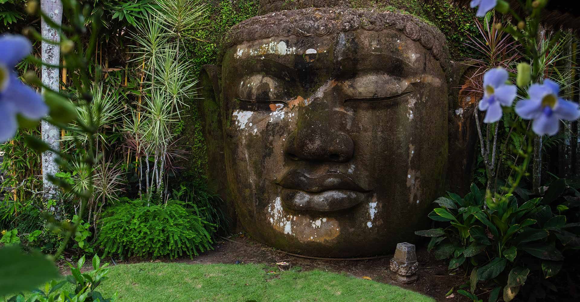 Large moss-covered statue head of Buddha in garden at Sukhavati Ayurvedic Wellness Retreat Bali.
