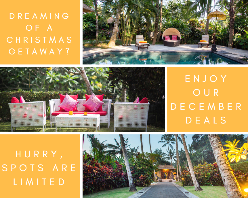 Dreaming of a Christmas getaway? Enjoy our December Deals!