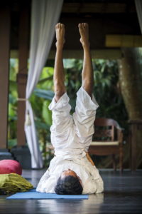 Yoga forms part of the Cardiovascular Disease (CVD) treatments at Sukhavati Ayurvedic Retreat & Spa
